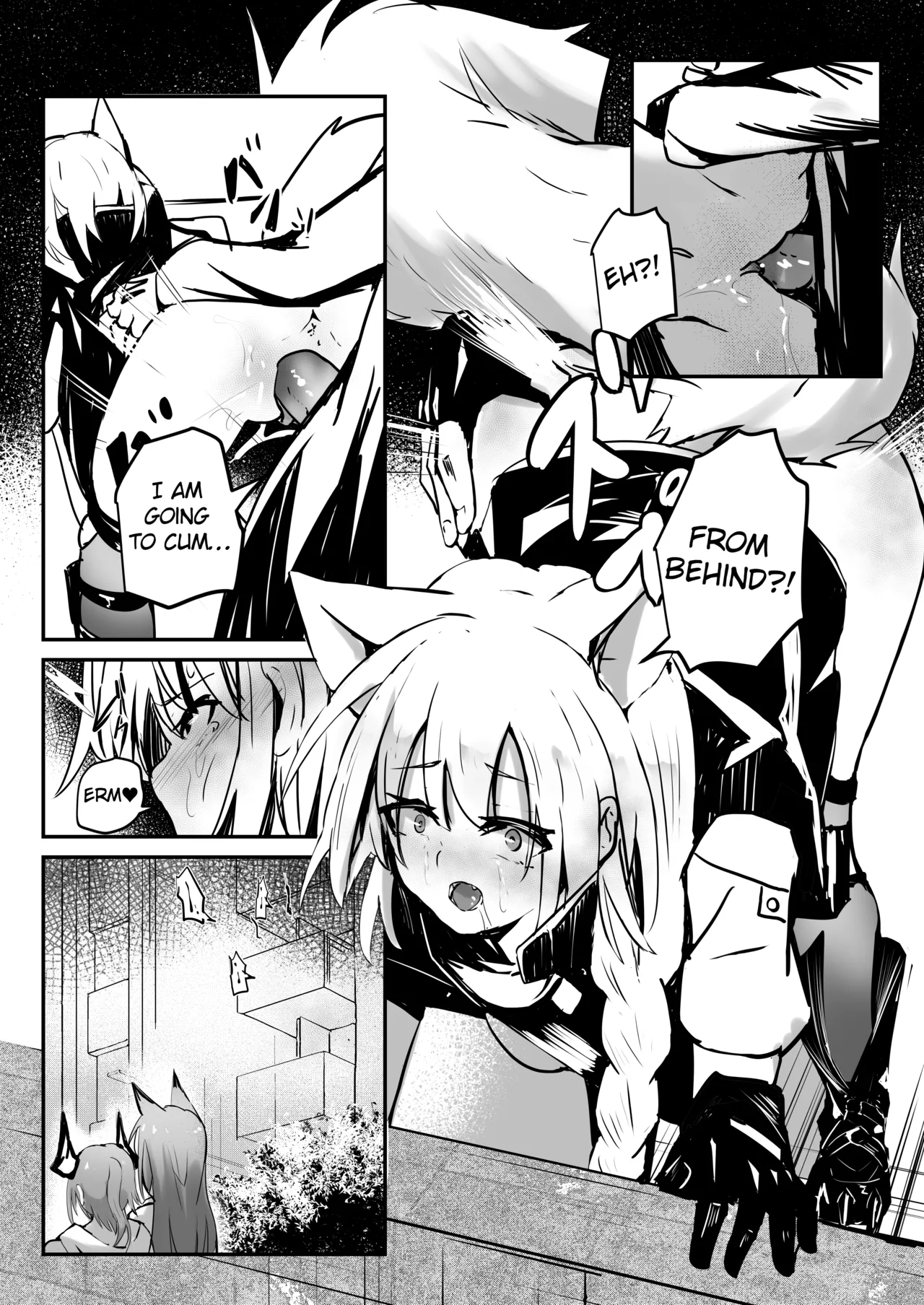 Provence page 8 full