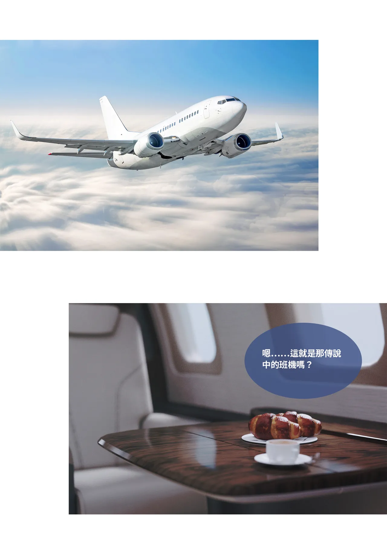 紫羅蘭的崛起 2-1 page 1 full