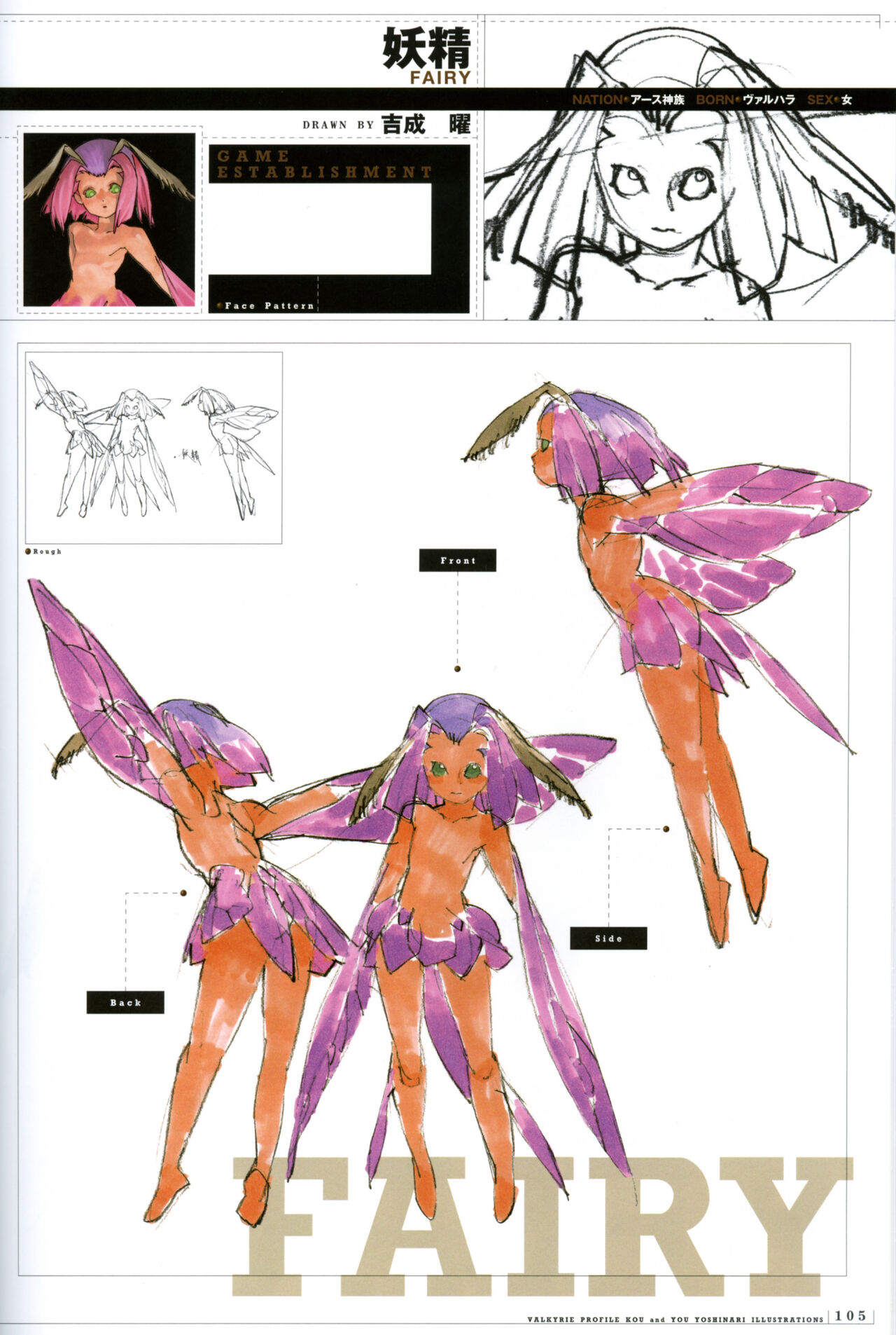 Valkyrie Profile Settings Data Collection_20241021 page 10 full