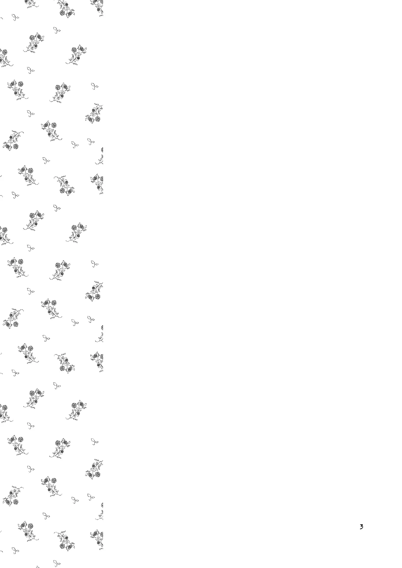 DQ 10-bon/ hana kan muri page 3 full