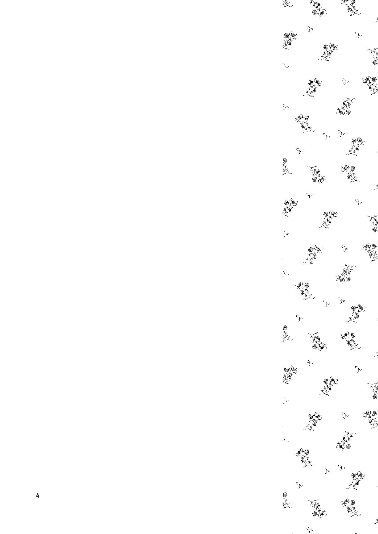 DQ 10-bon/ hana kan muri page 4 full