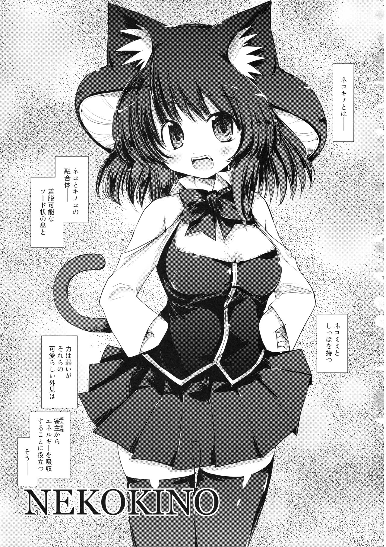 NIXINAMO DAYS 2008 WINTER page 2 full