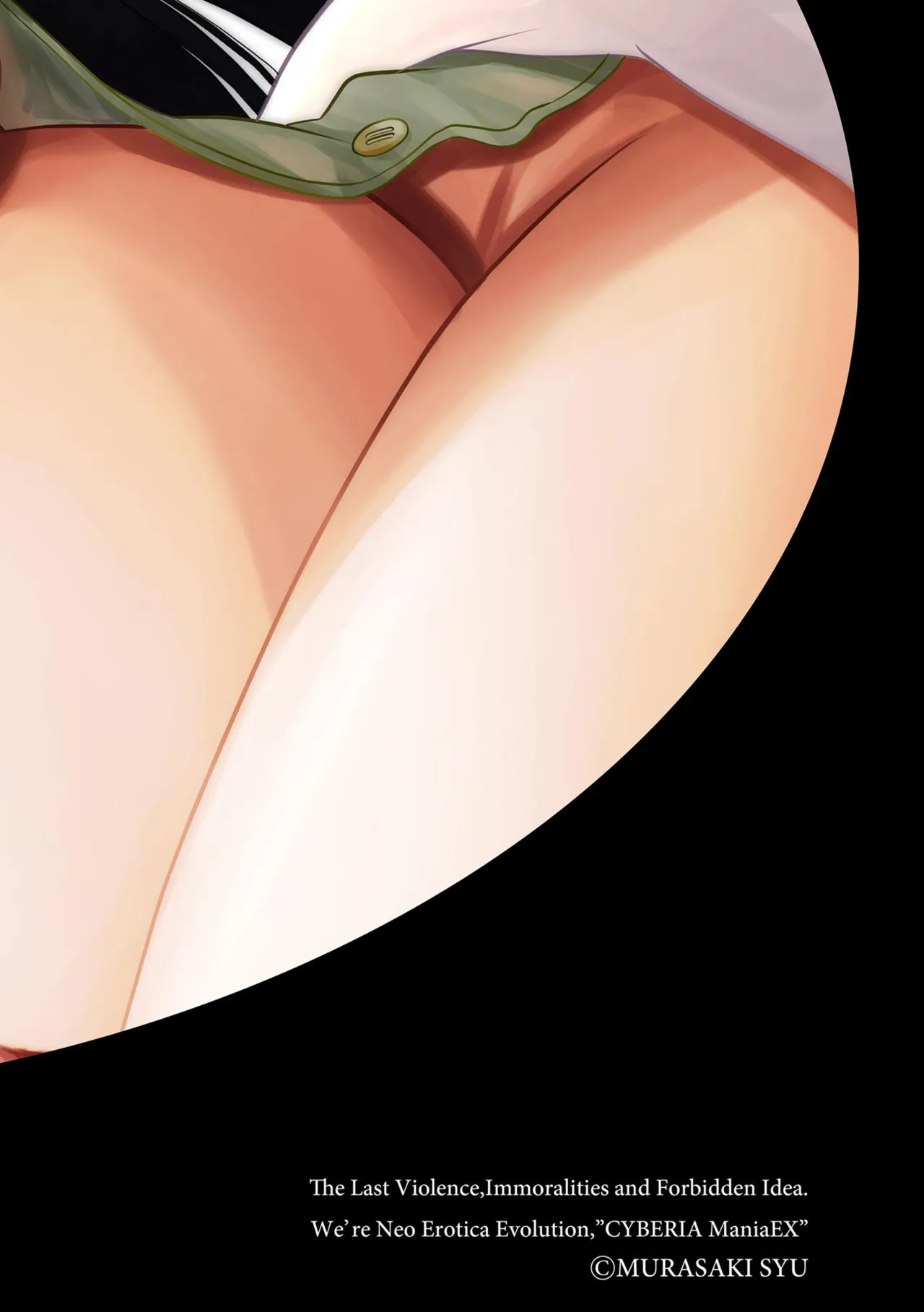 Midara na Ninpu page 2 full