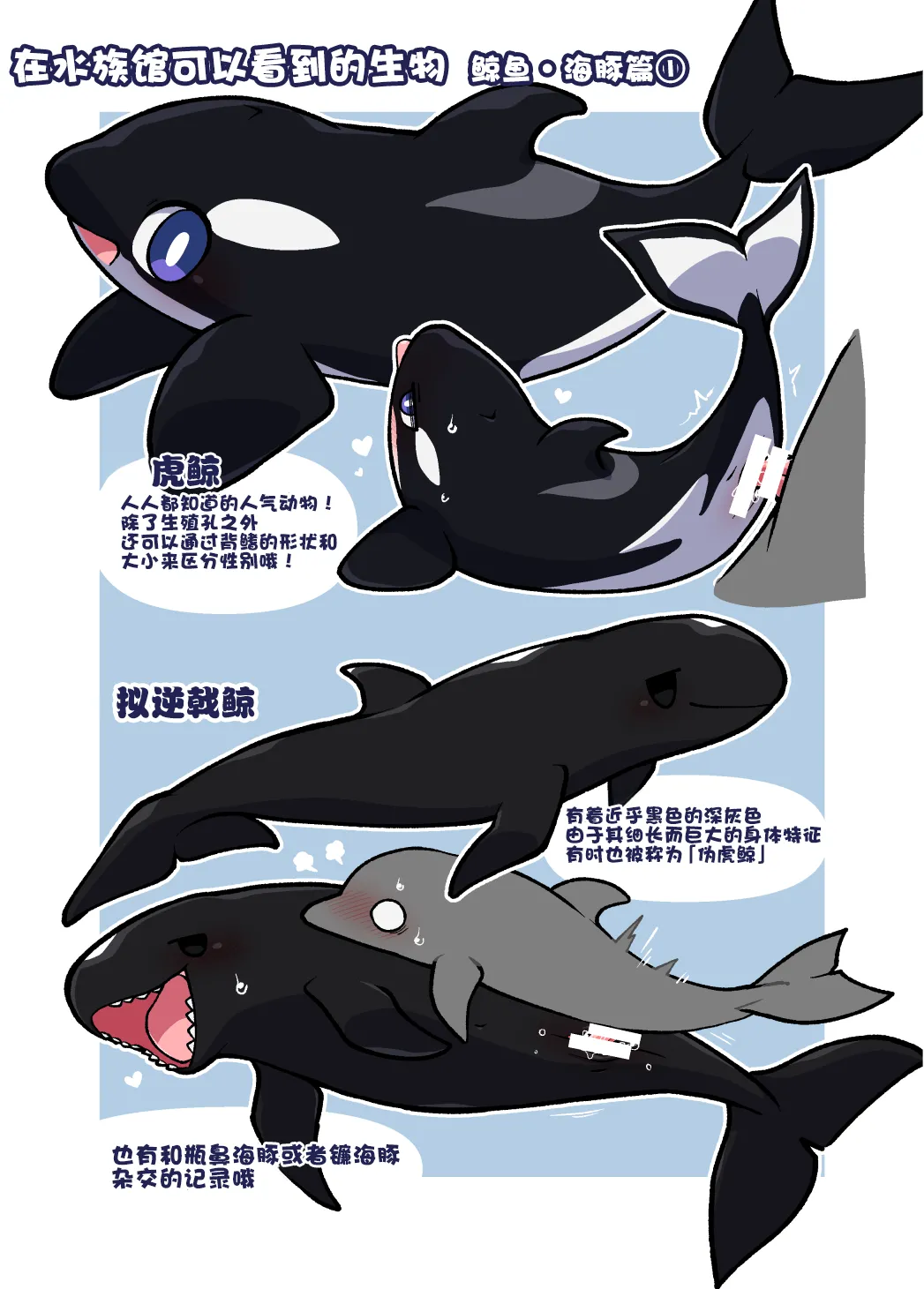 Dokidoki Suizokukan | 心跳不已水族奸 page 10 full