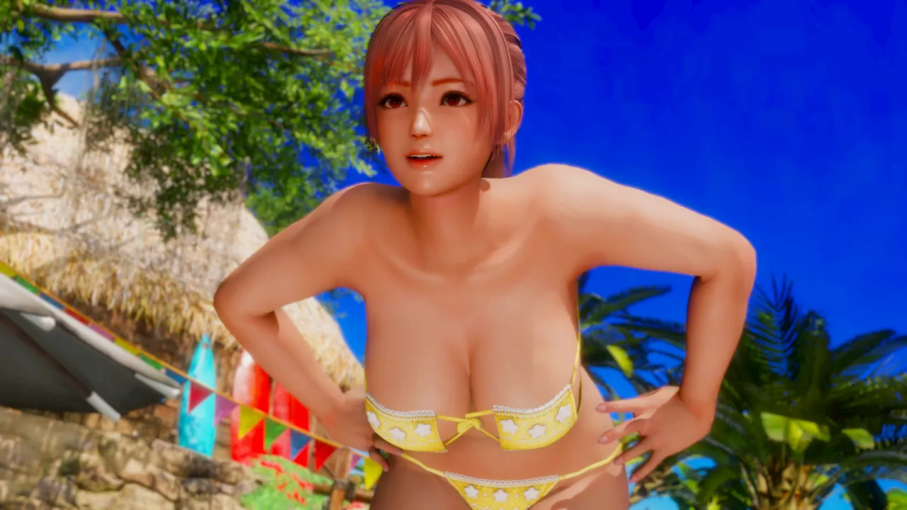 pixiv bv3 精品DOA系列HONOKA传奇（上） page 8 full