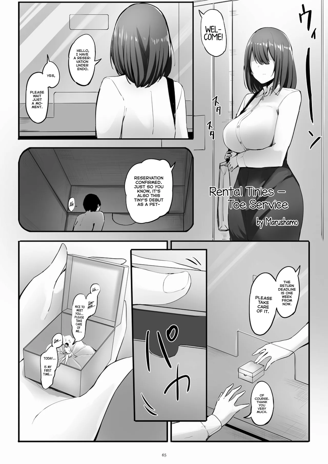 Rental Tinies - Toe Service page 1 full