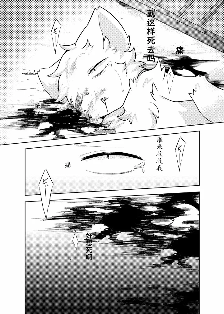 （Hoshino chisara）escape page 8 full