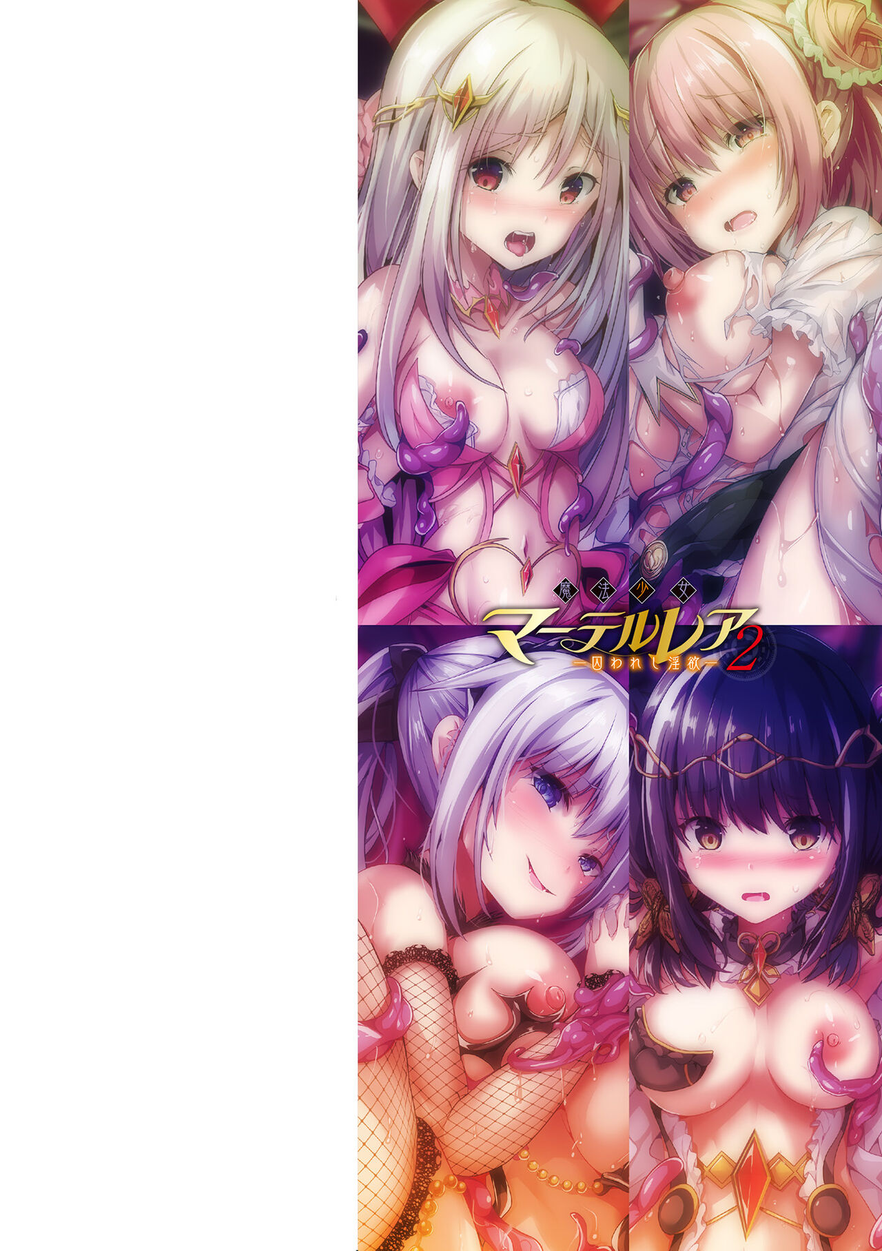 Mahou Shoujo Martel Rare 2 -Toraware shi Inyoku- page 2 full