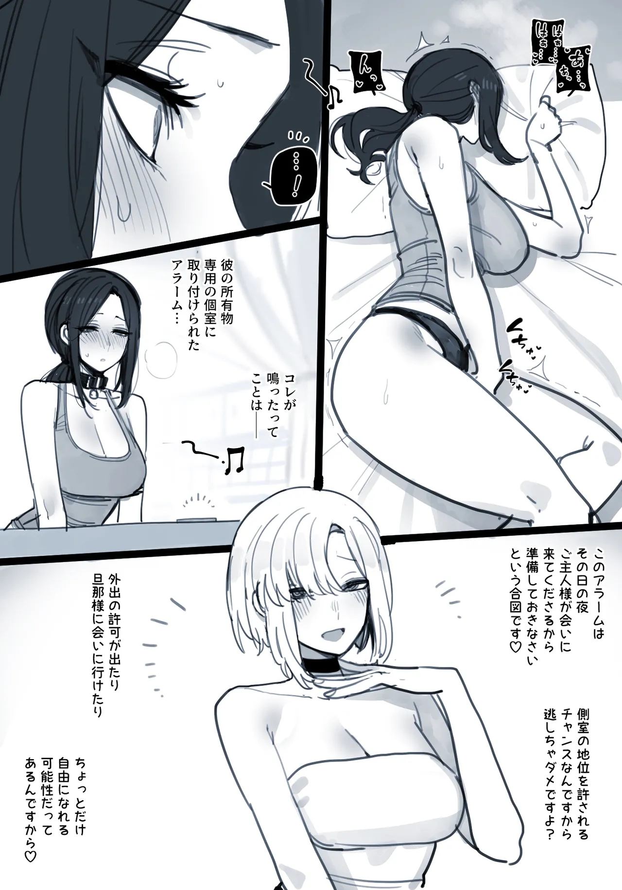 04/2025 5$ reward page 10 full