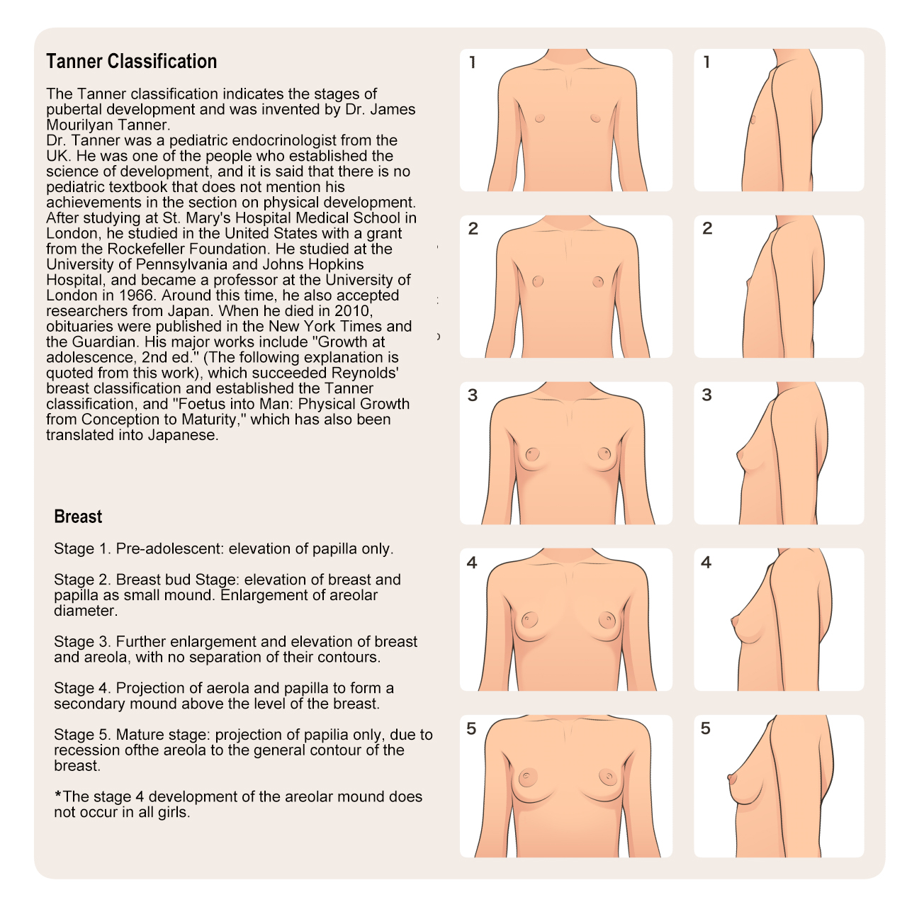 Shoujo Hatsuiku Nenji no Keikou to Tenbou page 4 full