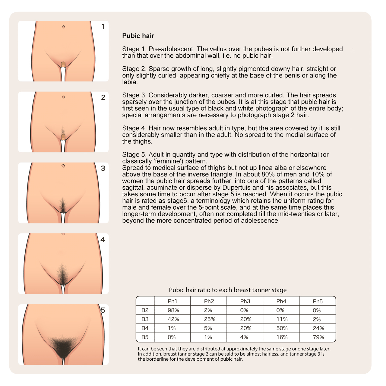 Shoujo Hatsuiku Nenji no Keikou to Tenbou page 5 full