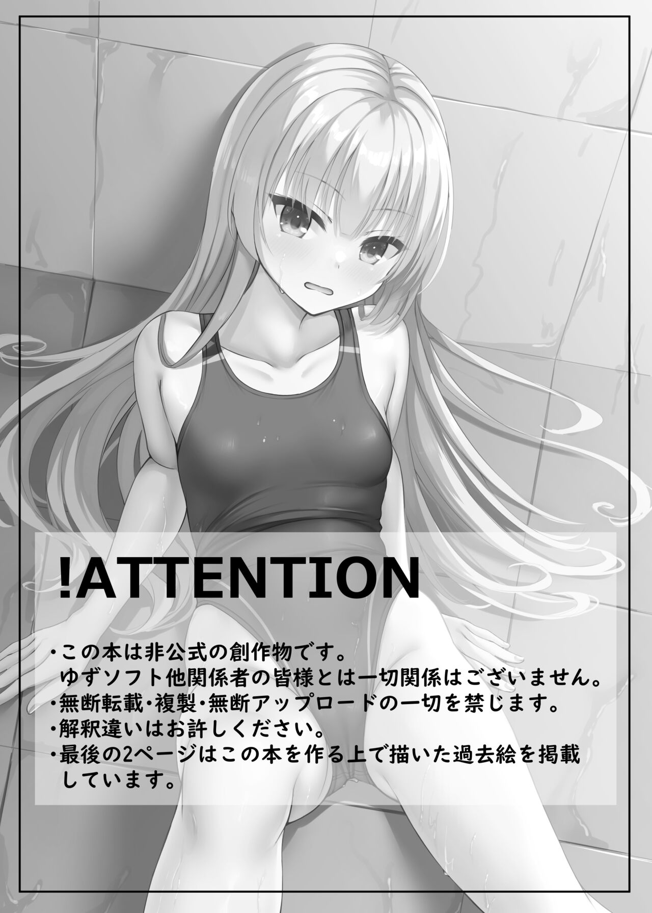 Competition Swimsuit Ayaseppai page 2 full