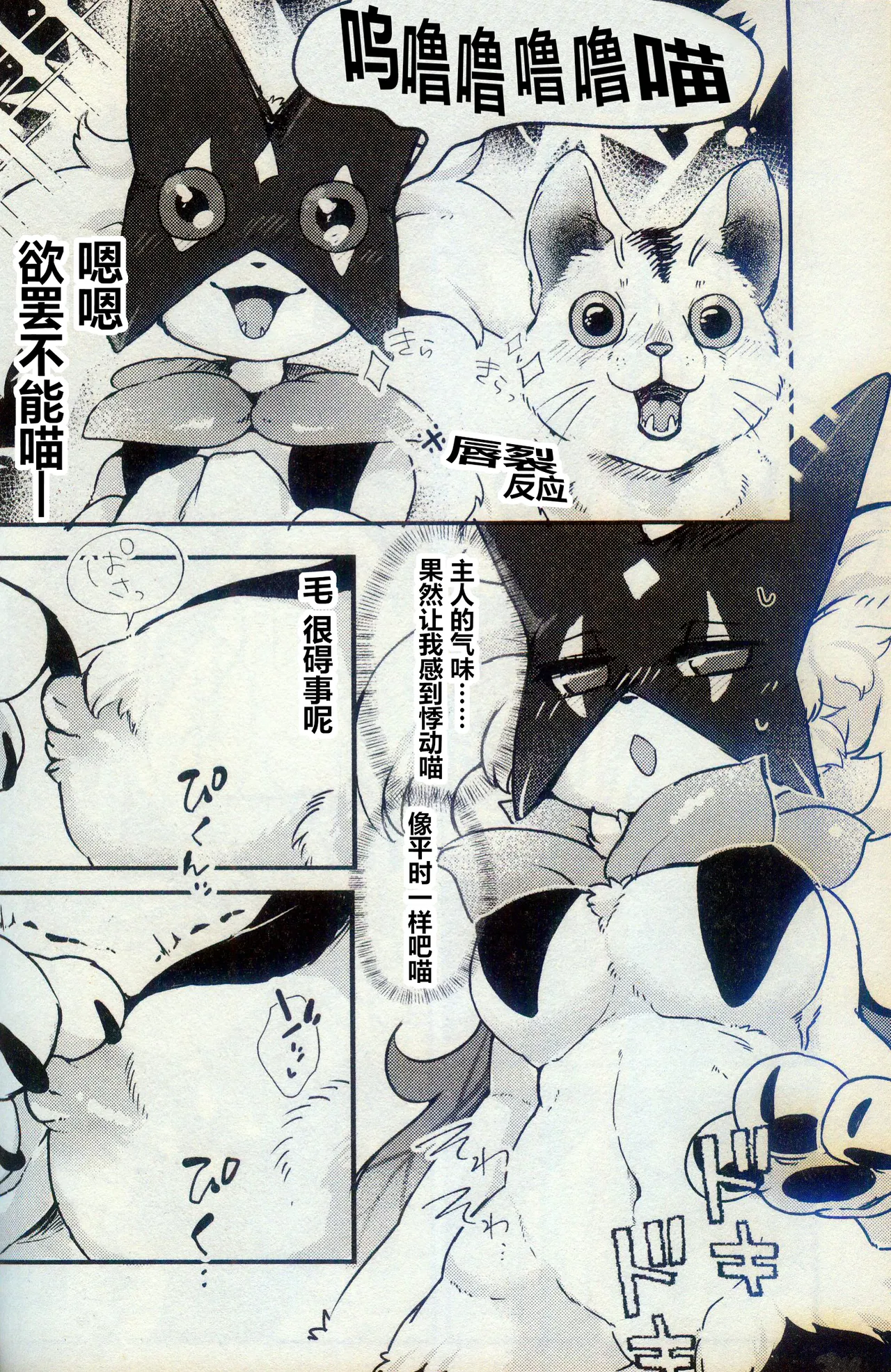 E!? Uchi no Masukaanya ga Hito de Rusuban!? Dekinai Wake ga Naideshou!? | 欸!? 我家的魔幻假面猫独自看家!? 不可能不做一些什么吧!! page 6 full