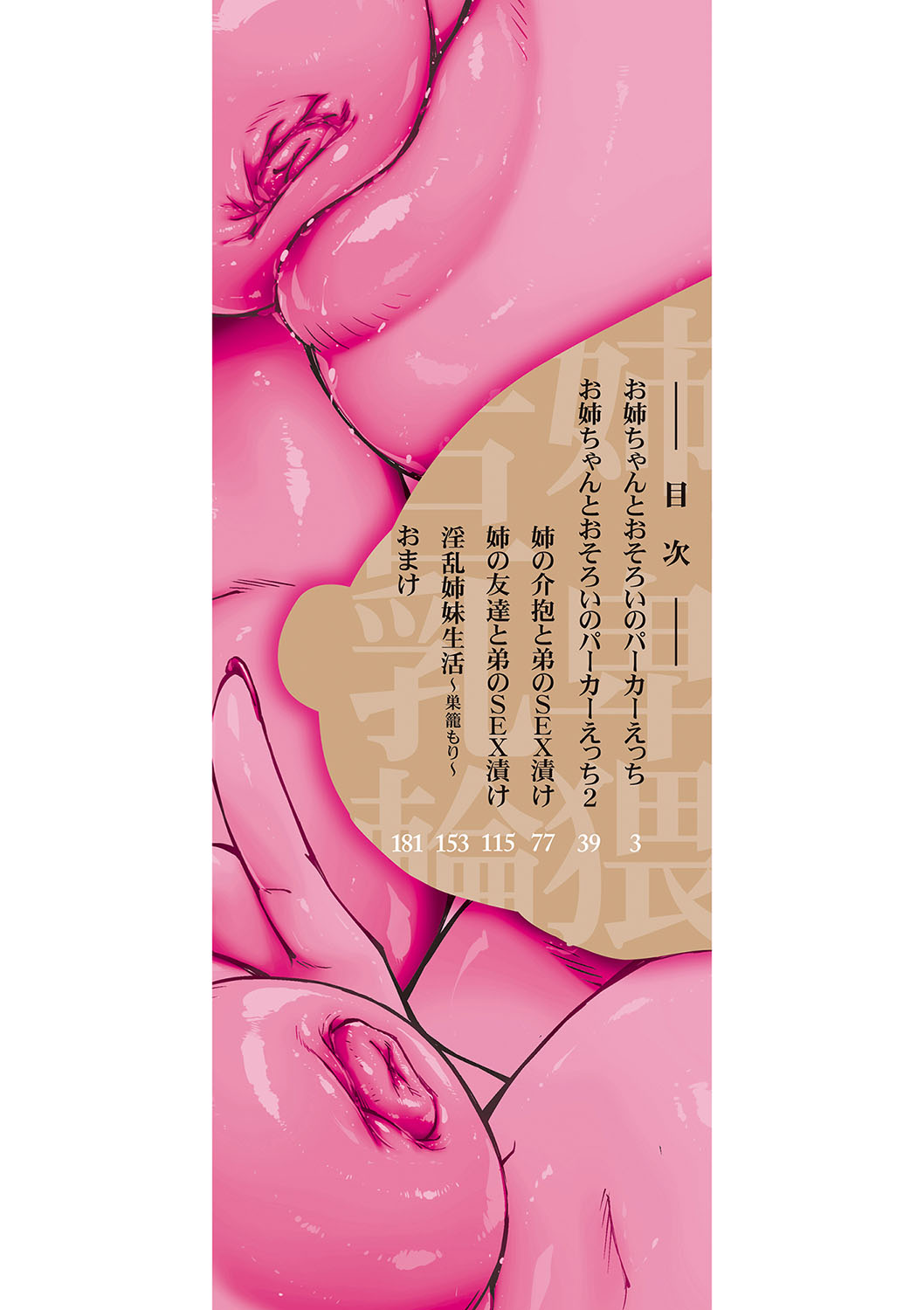 お姉ちゃんの卑猥な巨乳輪 page 3 full