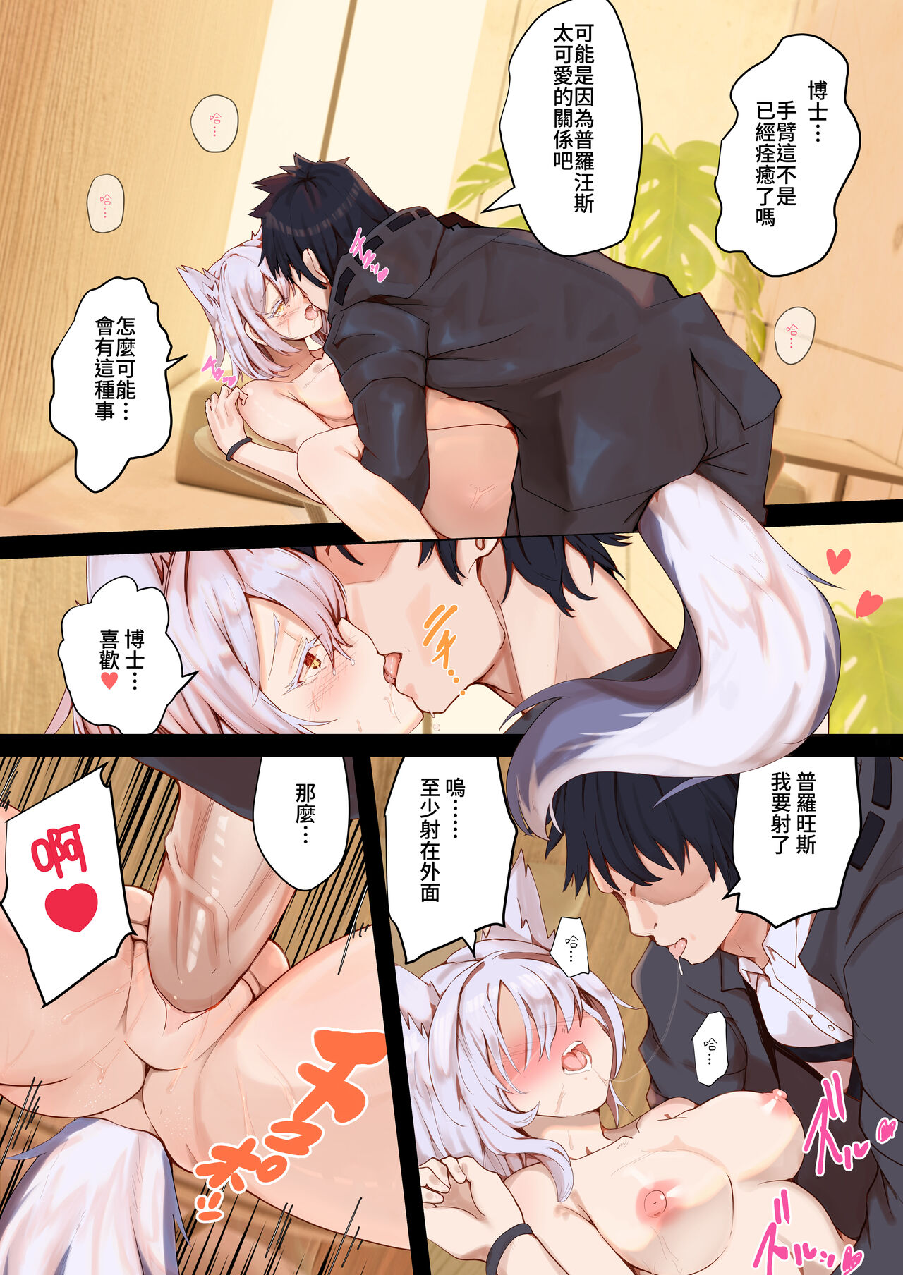 Provence page 8 full