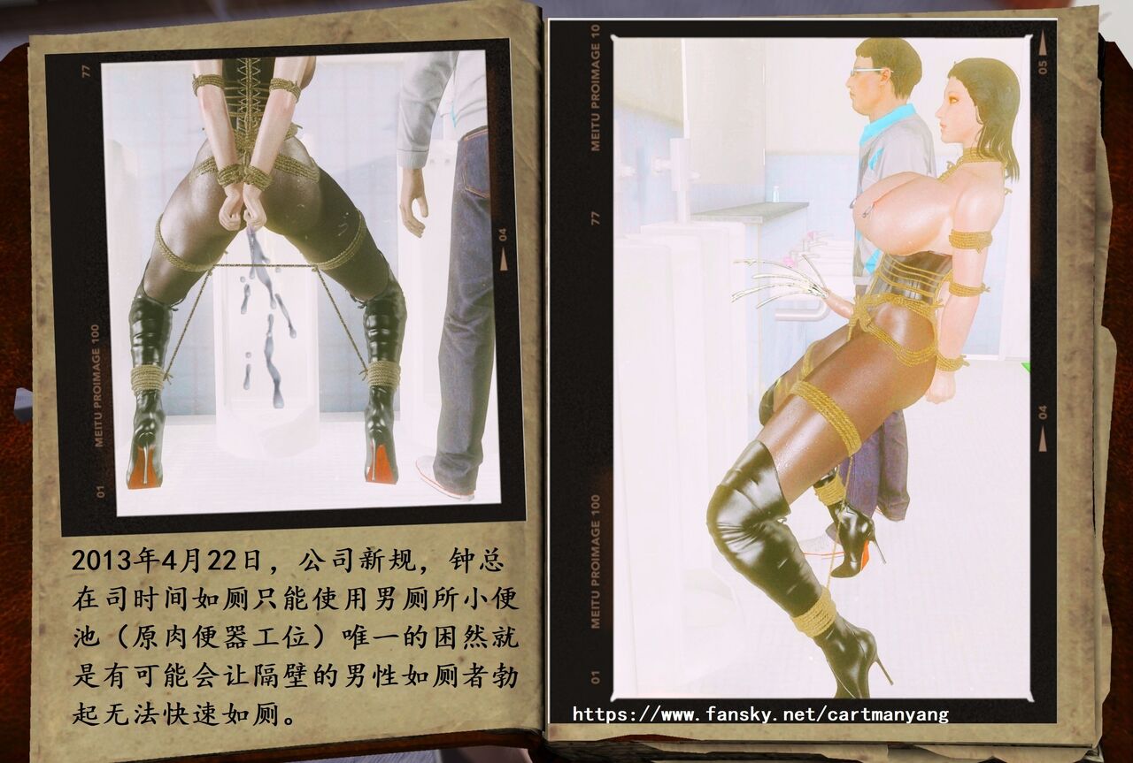 贵妇的沉沦老陈日记3 page 10 full