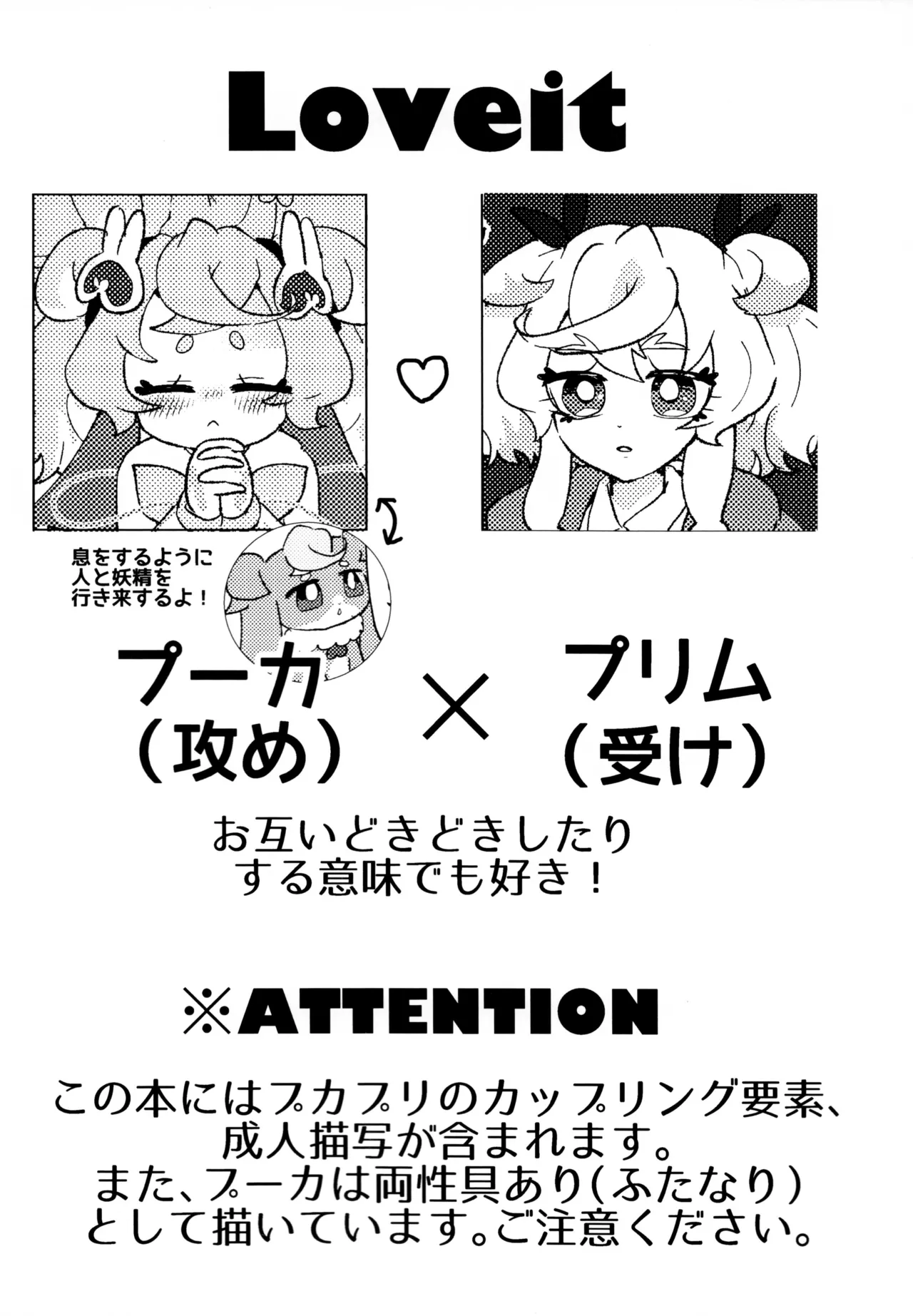 Loveit Puca X Supreme page 3 full