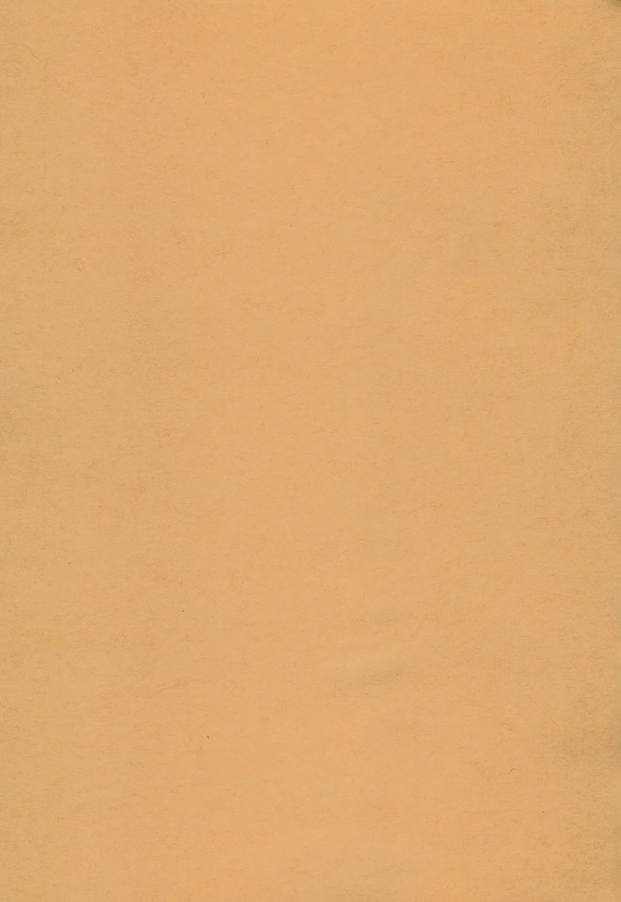 __Osasoi_Bunny_ page 4 full