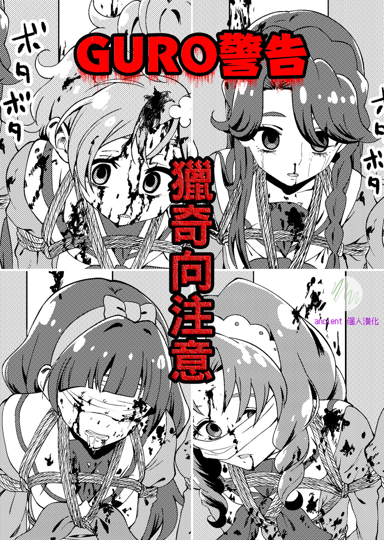 Princess Precure Execution page 1 full