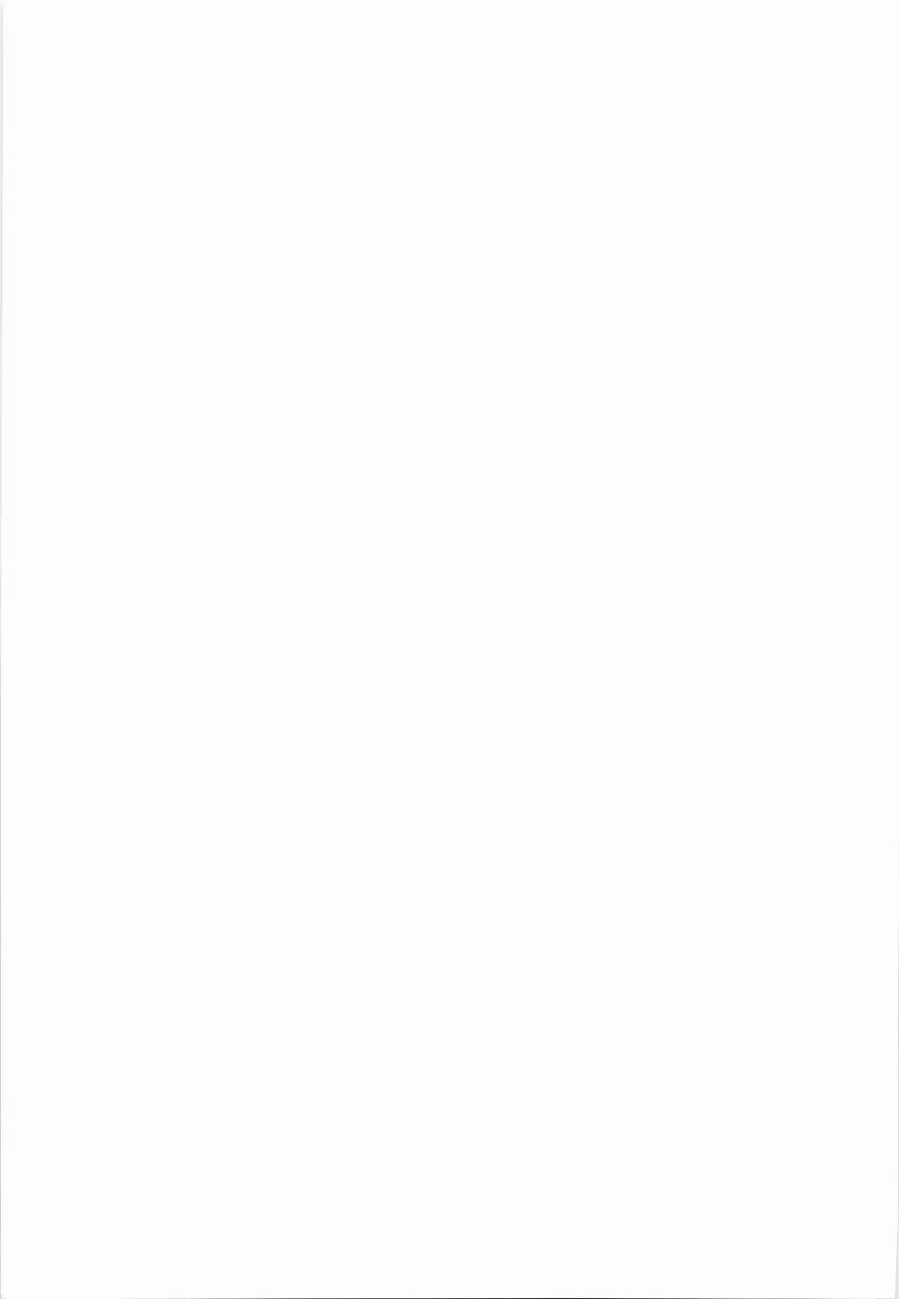 ComicMarket100 ExclusiveGift Limited Edition BRILLIANT page 2 full