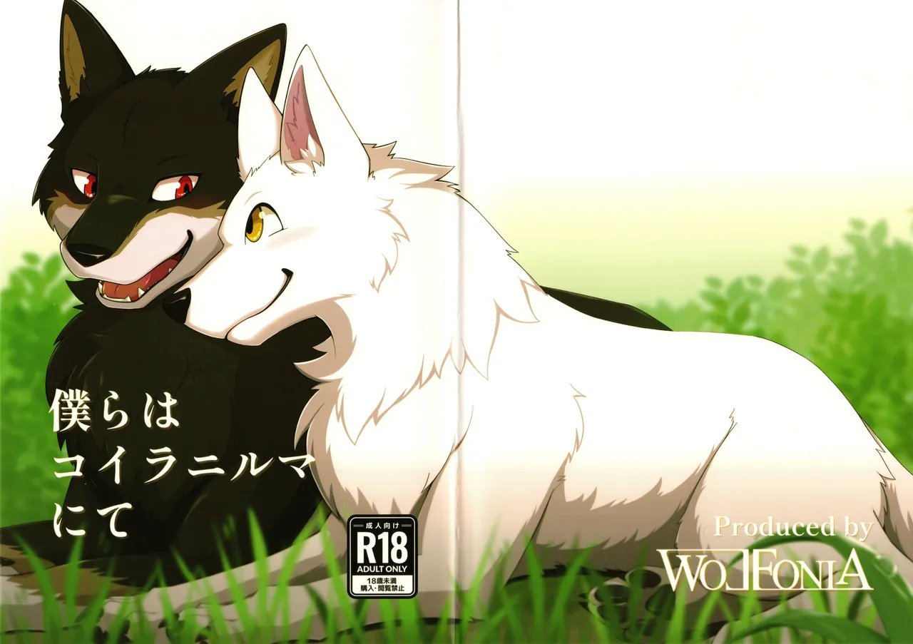 We are at Koilanirma page 1 full