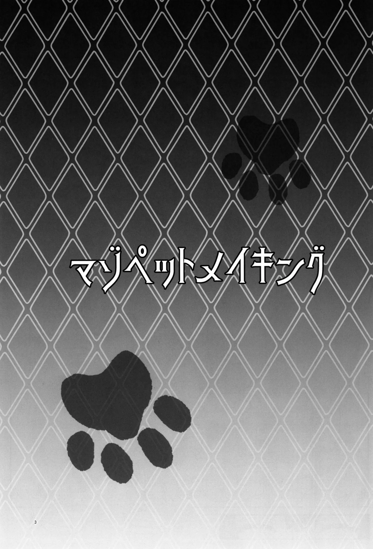 Maso Pet Making + Paper page 3 full