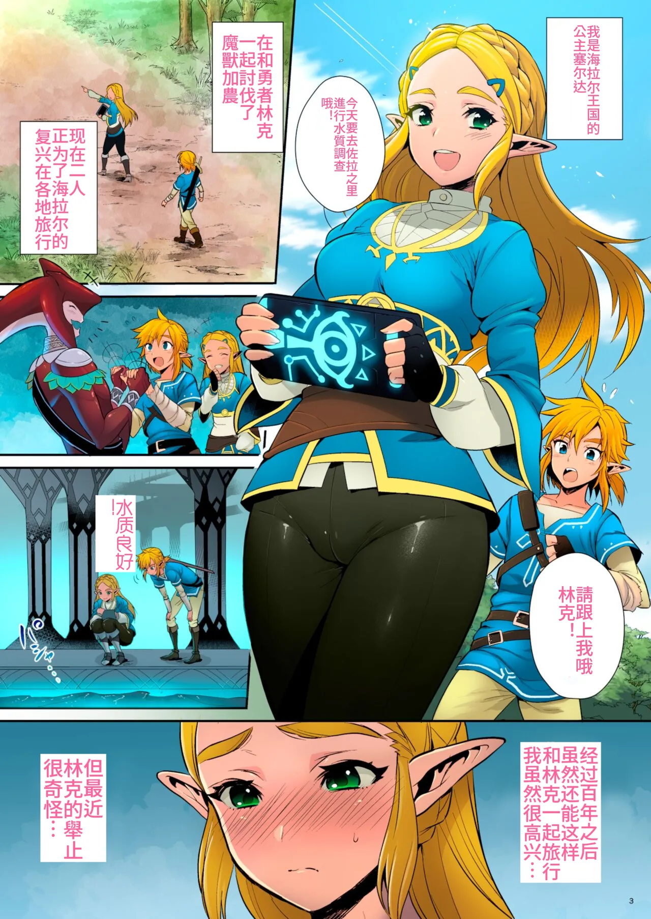 Hyrule Hanei no Tame no Katsudou! page 2 full