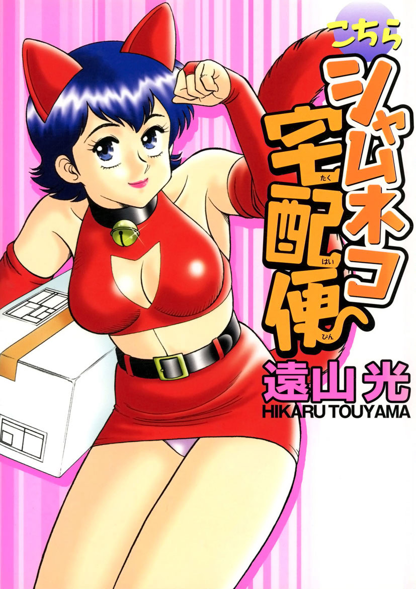 Shamese's Delivery Service page 1 full