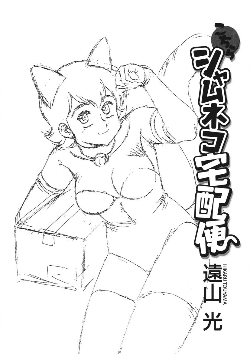 Shamese's Delivery Service page 2 full