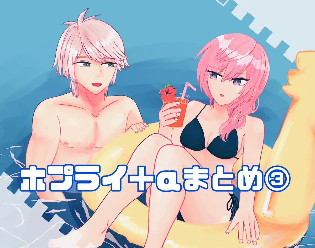 Hoply + α summary page 1 full