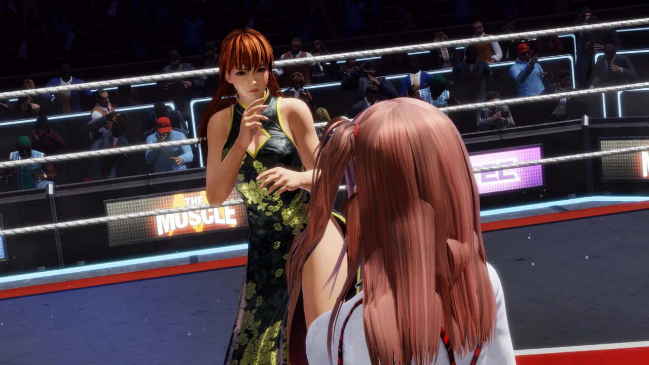 pixiv bv3 精品DOA系列HONOKA传奇（下）HONOKA的逆转男性胜利合集 page 8 full