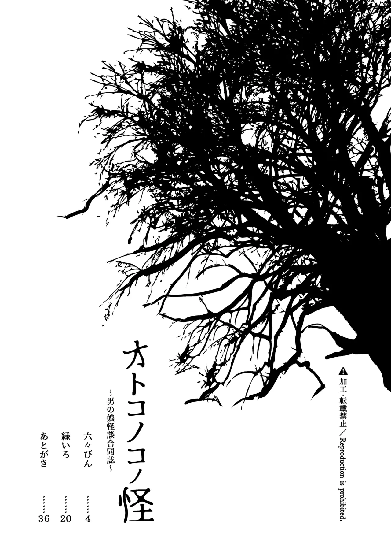 Otokonoko no Kai ~Otokonoko Kaidan Goudoushi~ page 3 full