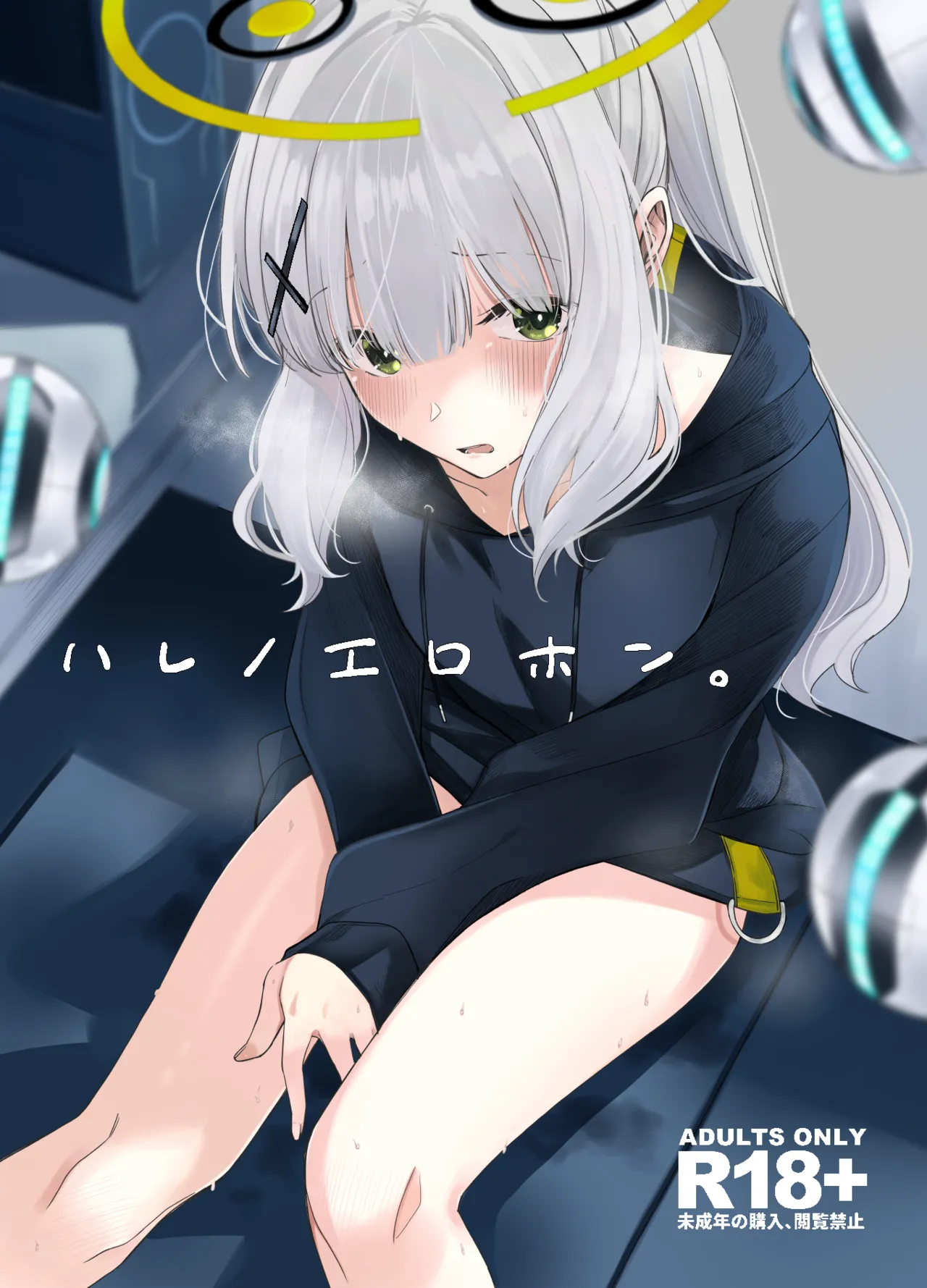 Hare no Ero Hon. | 晴的本子。 page 2 full