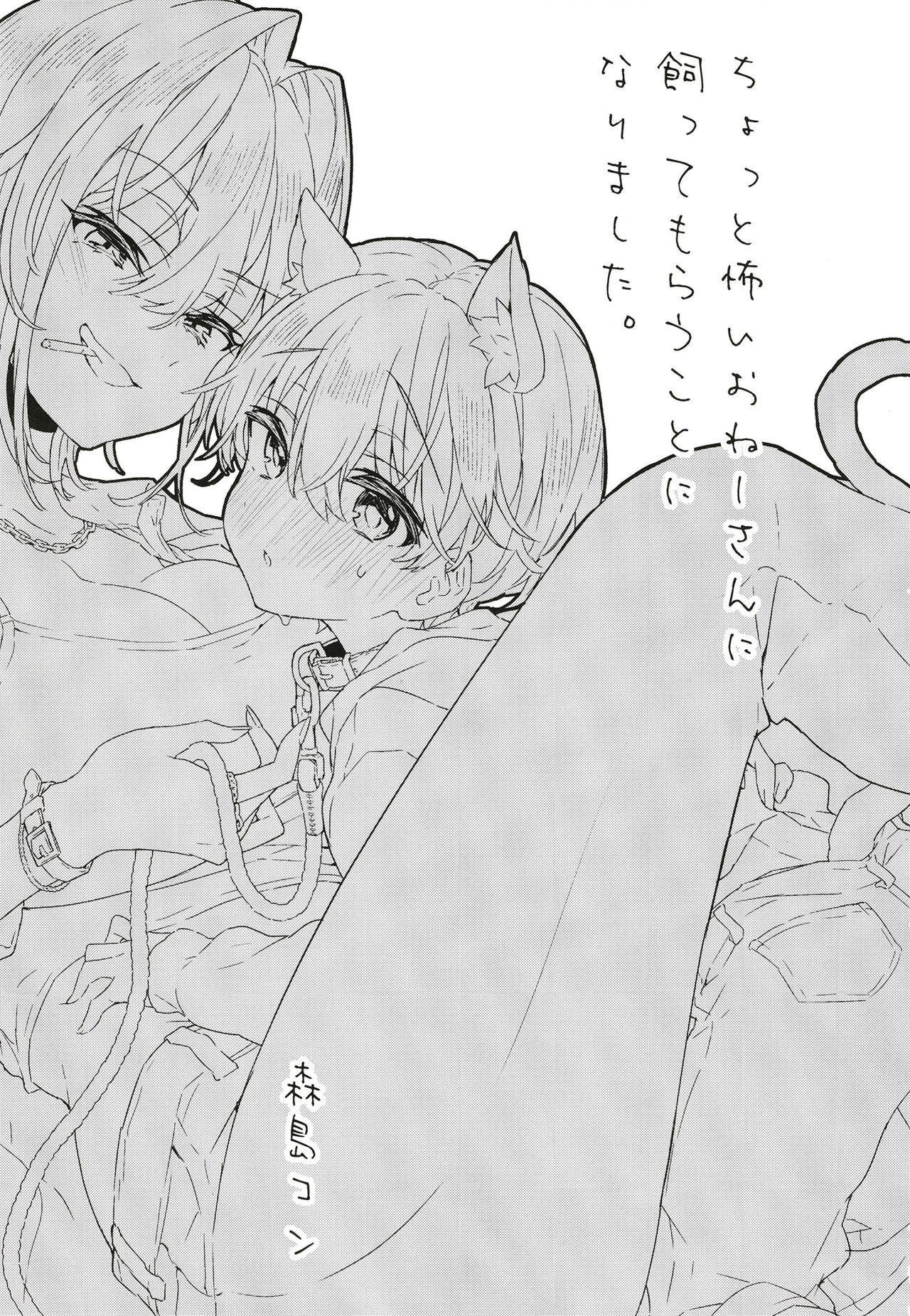 Chotto Kowai Onee-san ni Katte morau Koto ni Narimashita. page 2 full