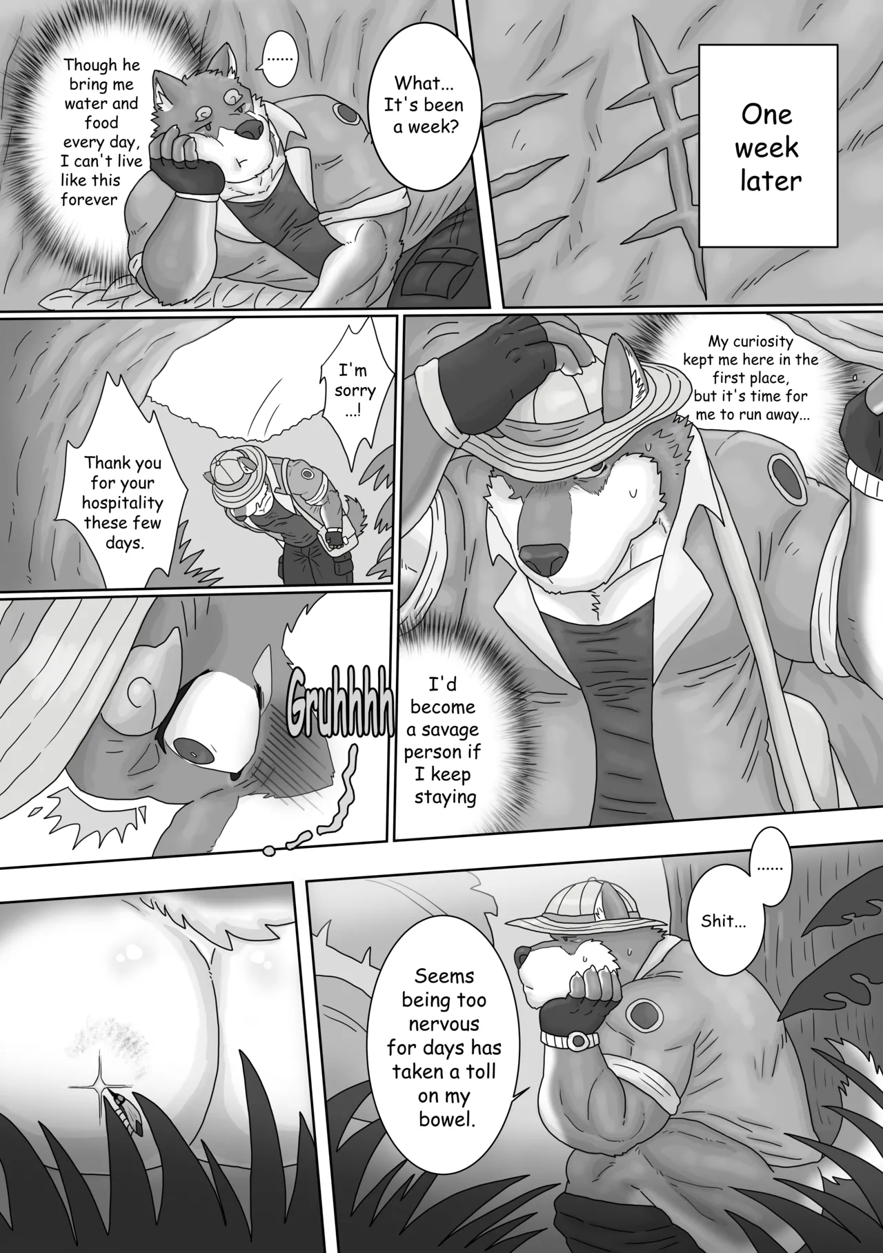 The Wild Secluded Region page 10 full