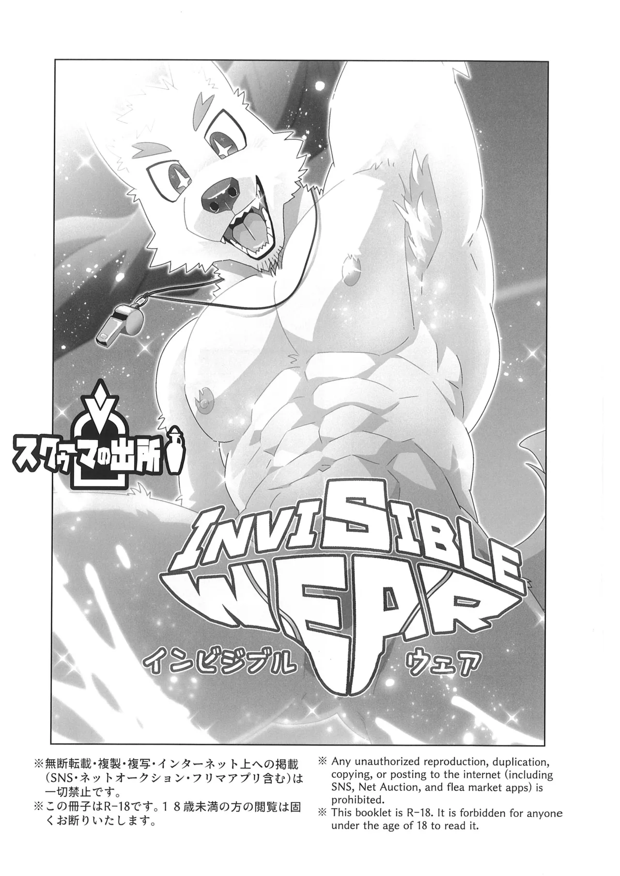Invisible Wear page 2 full
