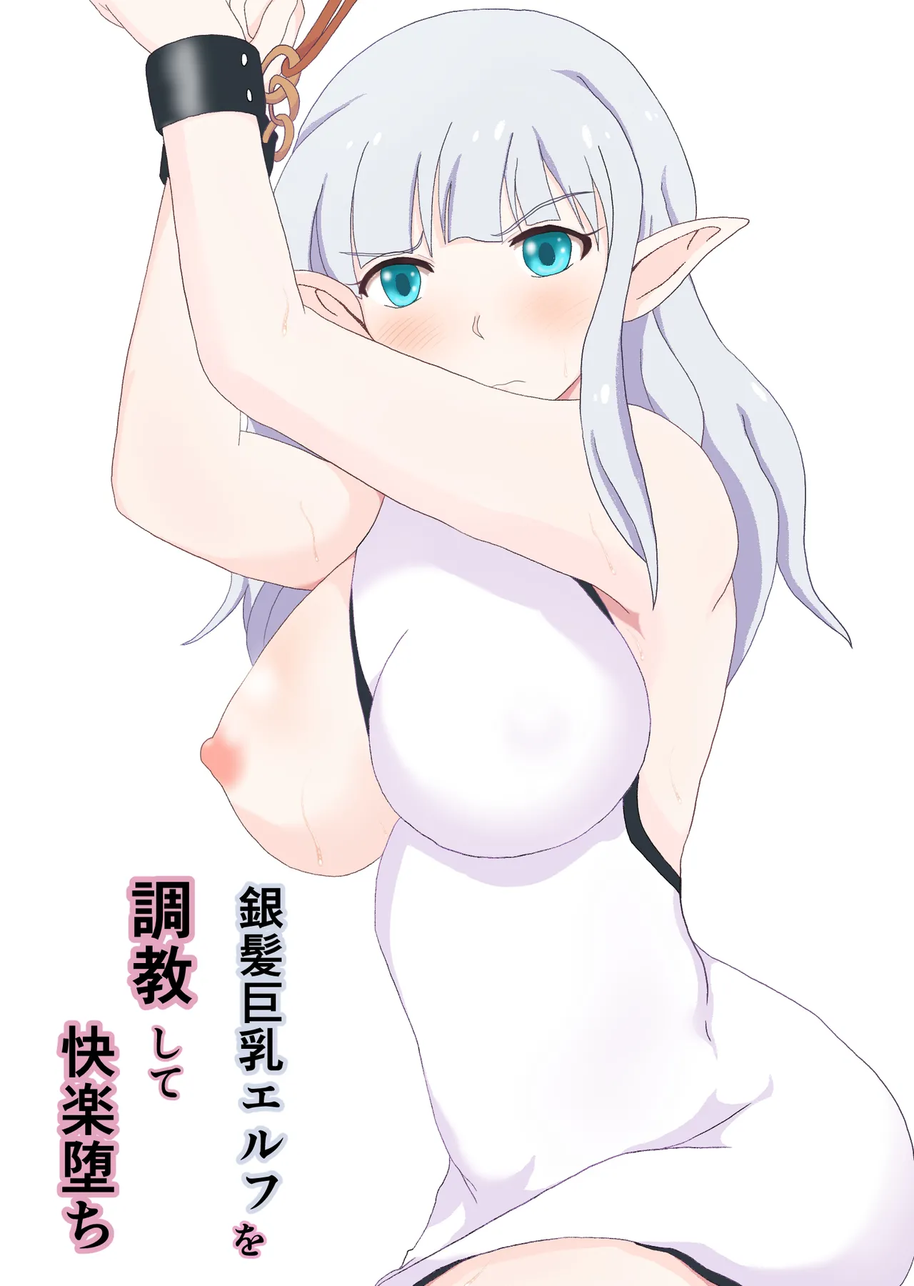 Ginpatsu Elf wo choukyou shite kairaku ochi page 1 full