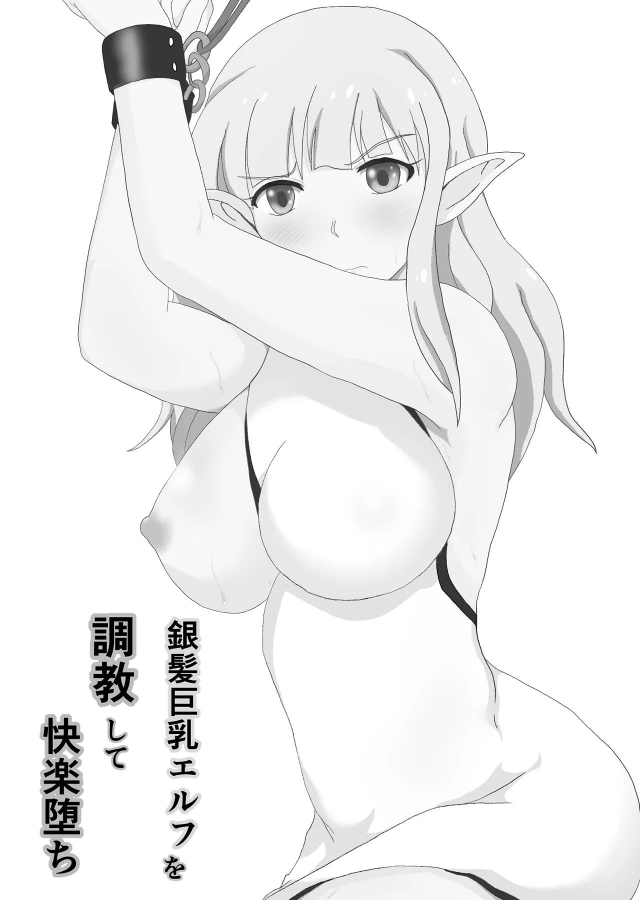 Ginpatsu Elf wo choukyou shite kairaku ochi page 2 full