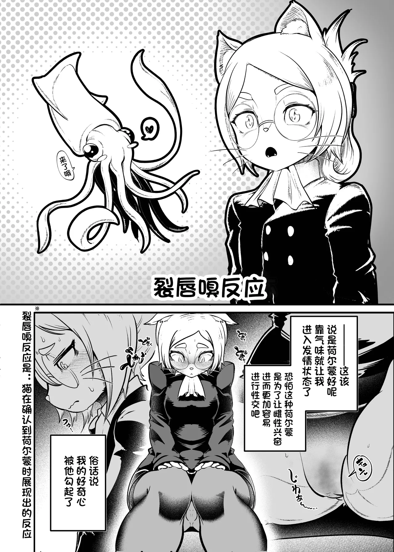 Tonelico Houdoukan no Ura Houkokusho | 托内莉可报道官的秘密报告 page 8 full