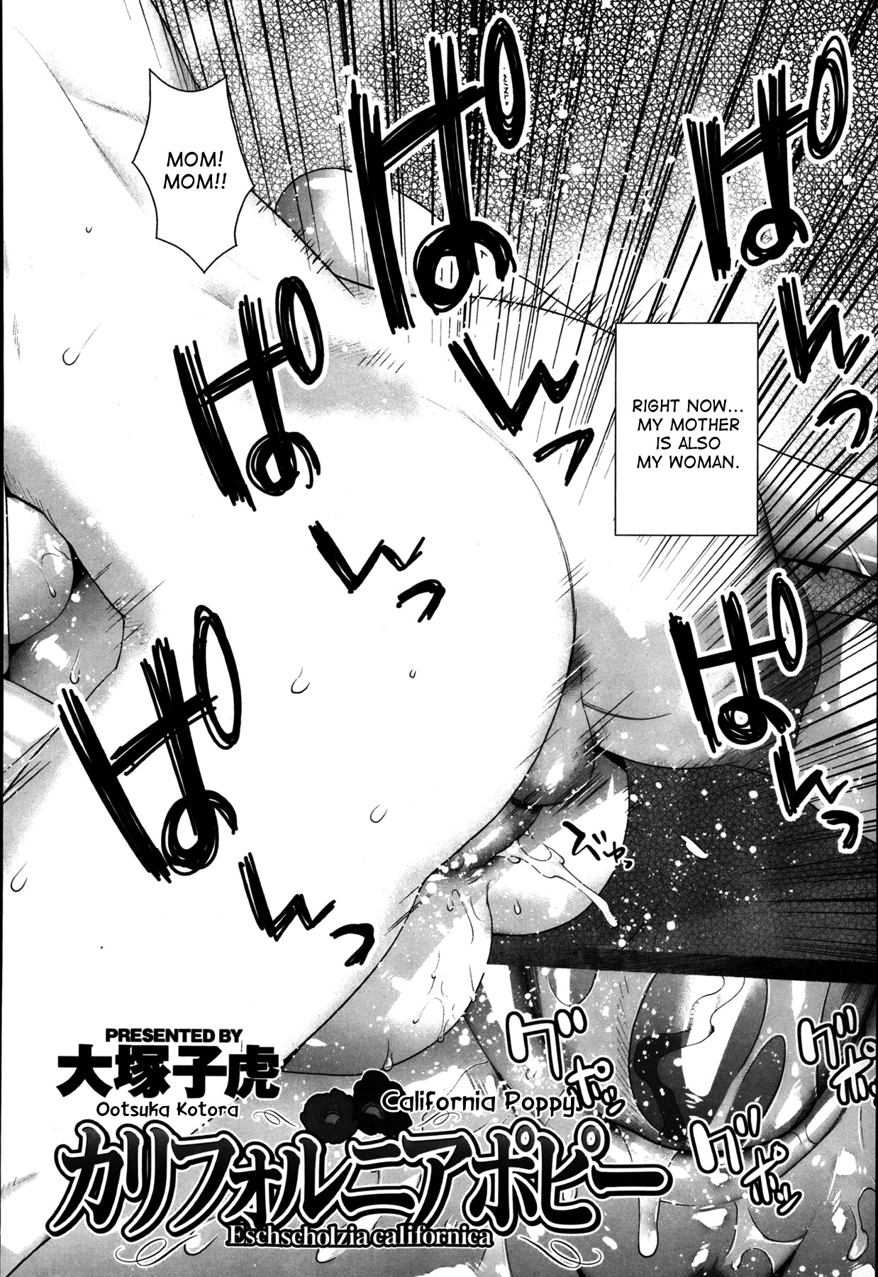 Ootsuka Kotora California Poppy page 2 full