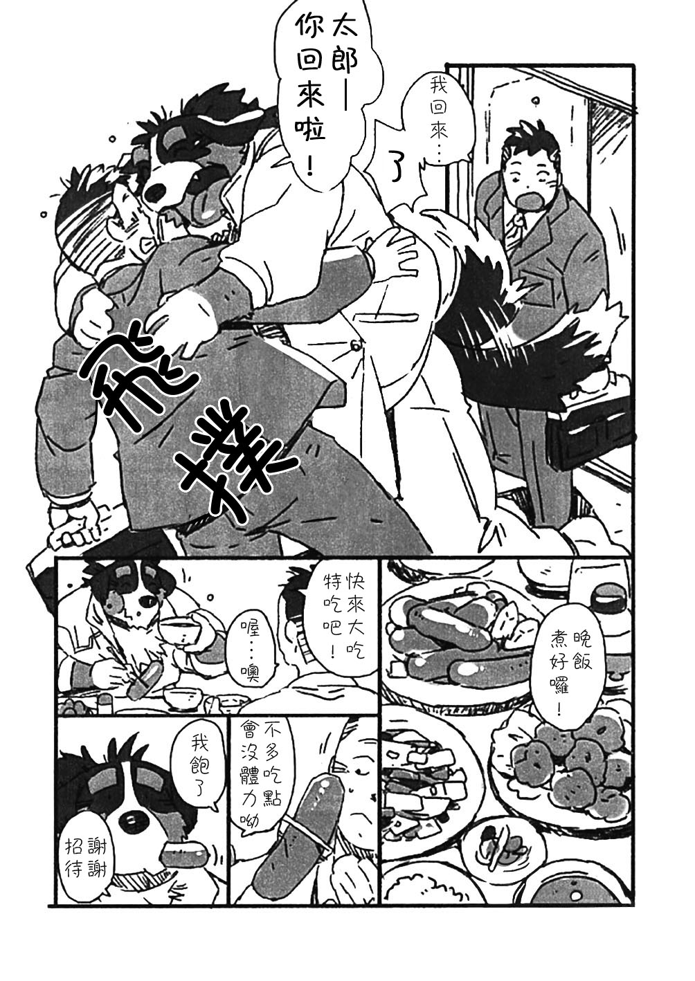 Bernese Bernese page 3 full