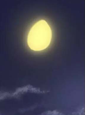 Queen Bee - Chapter 61-64 - Seonyeong's Corruption Mom NTR page 1 full