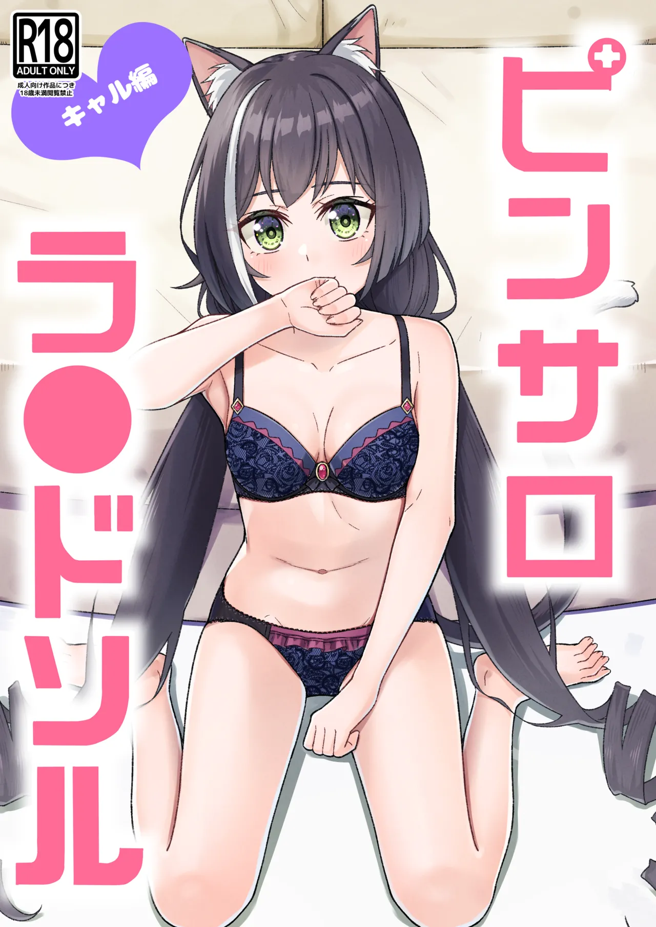 Pinsaro Landosol 3 page 1 full