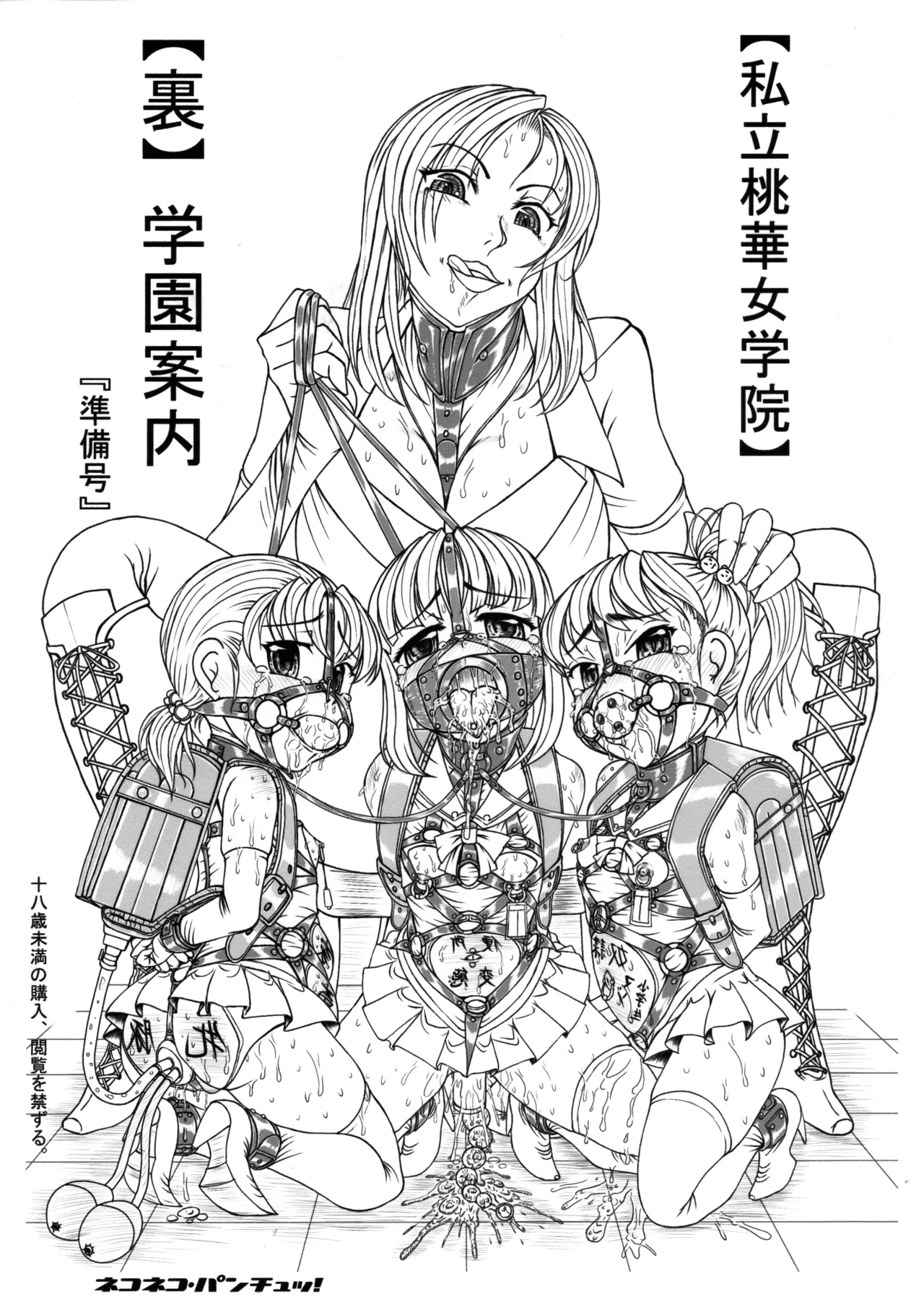 Shiritsu Tooka Jogakuin Ura Gakuen Annai page 1 full