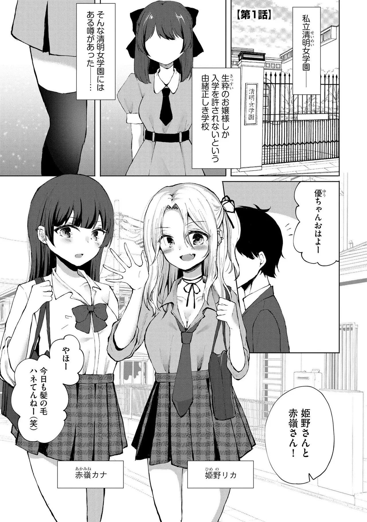 キミは共有ディルド～お嬢様校のドSビッチたちとペット生活～ page 4 full