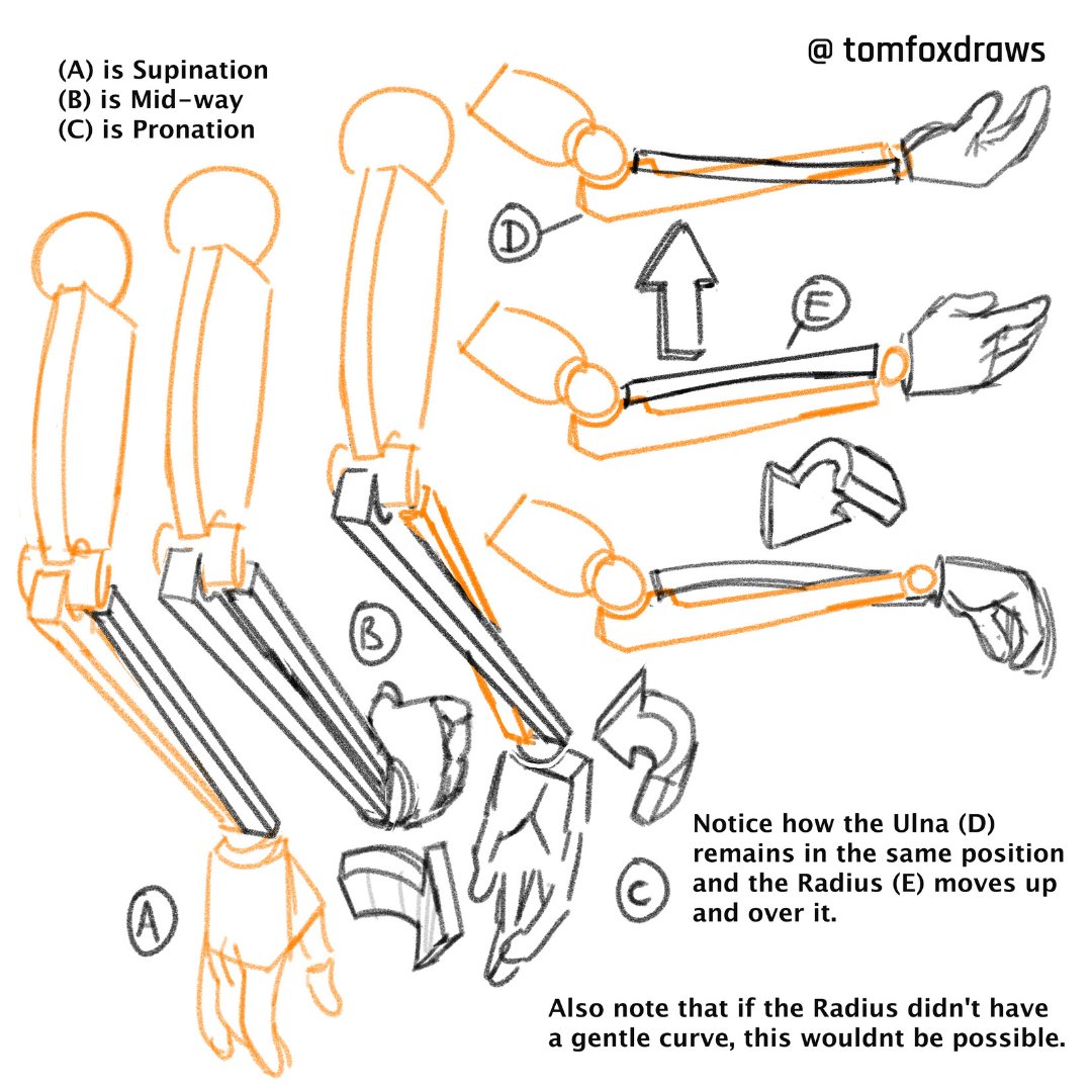 tomfox draws page 1 full