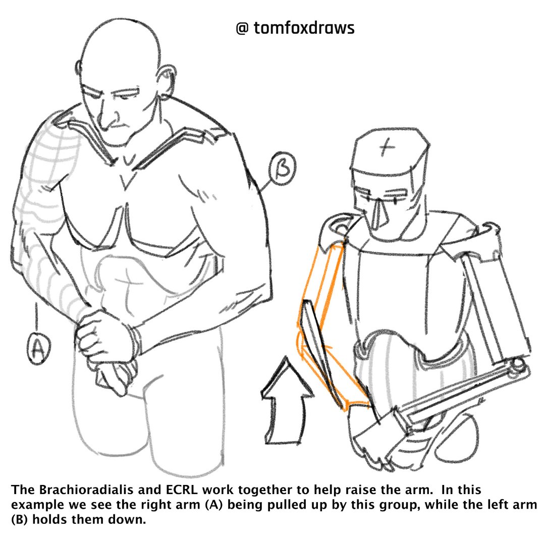 tomfox draws page 4 full
