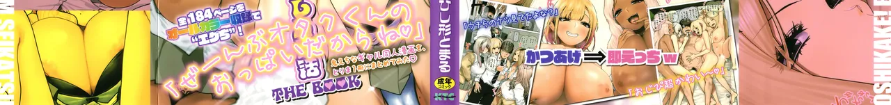 Oshikake ! Bakunyuu Gal Harem Seikatsu THE BOOK page 2 full