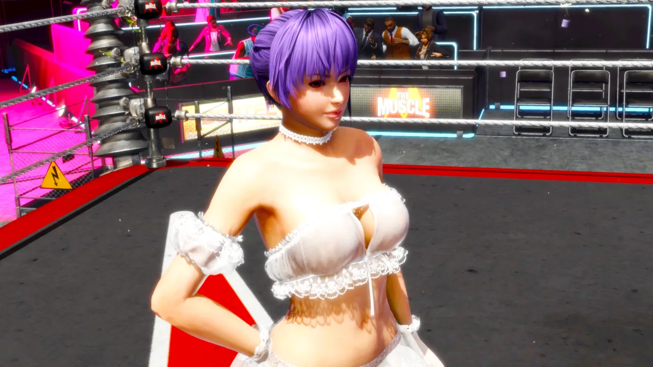 pixiv bv3 精品DOA系列 霞与绫音的相爱相杀（上） page 10 full