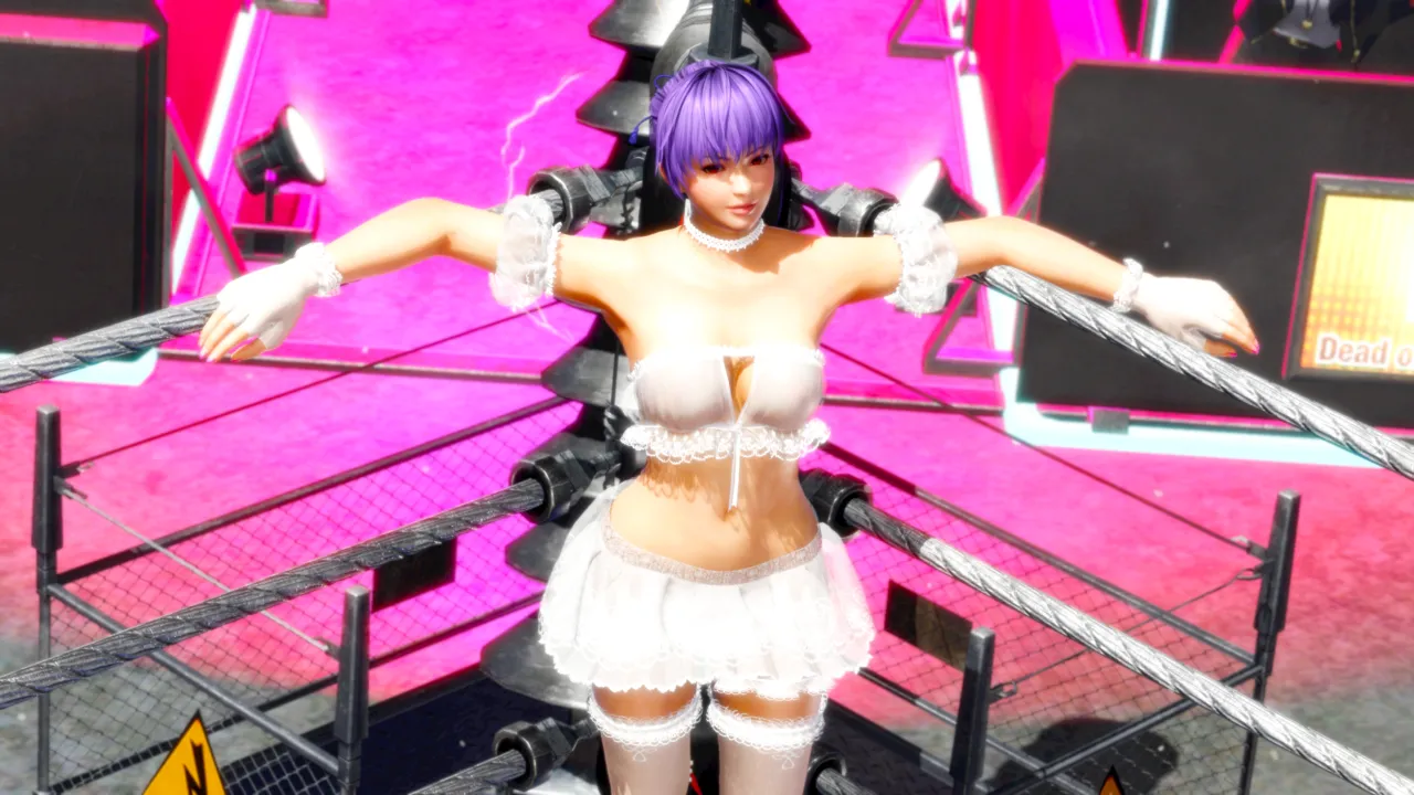 pixiv bv3 精品DOA系列 霞与绫音的相爱相杀（上） page 5 full